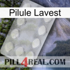 Lavest Pill 16